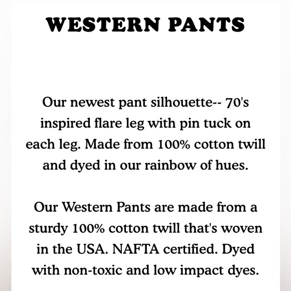 Big Bud Western Pants—  XS blue + white stripe - Picture 8 of 9